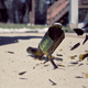 Image for article titled Shooting Challenge: Shattered Gallery 2
